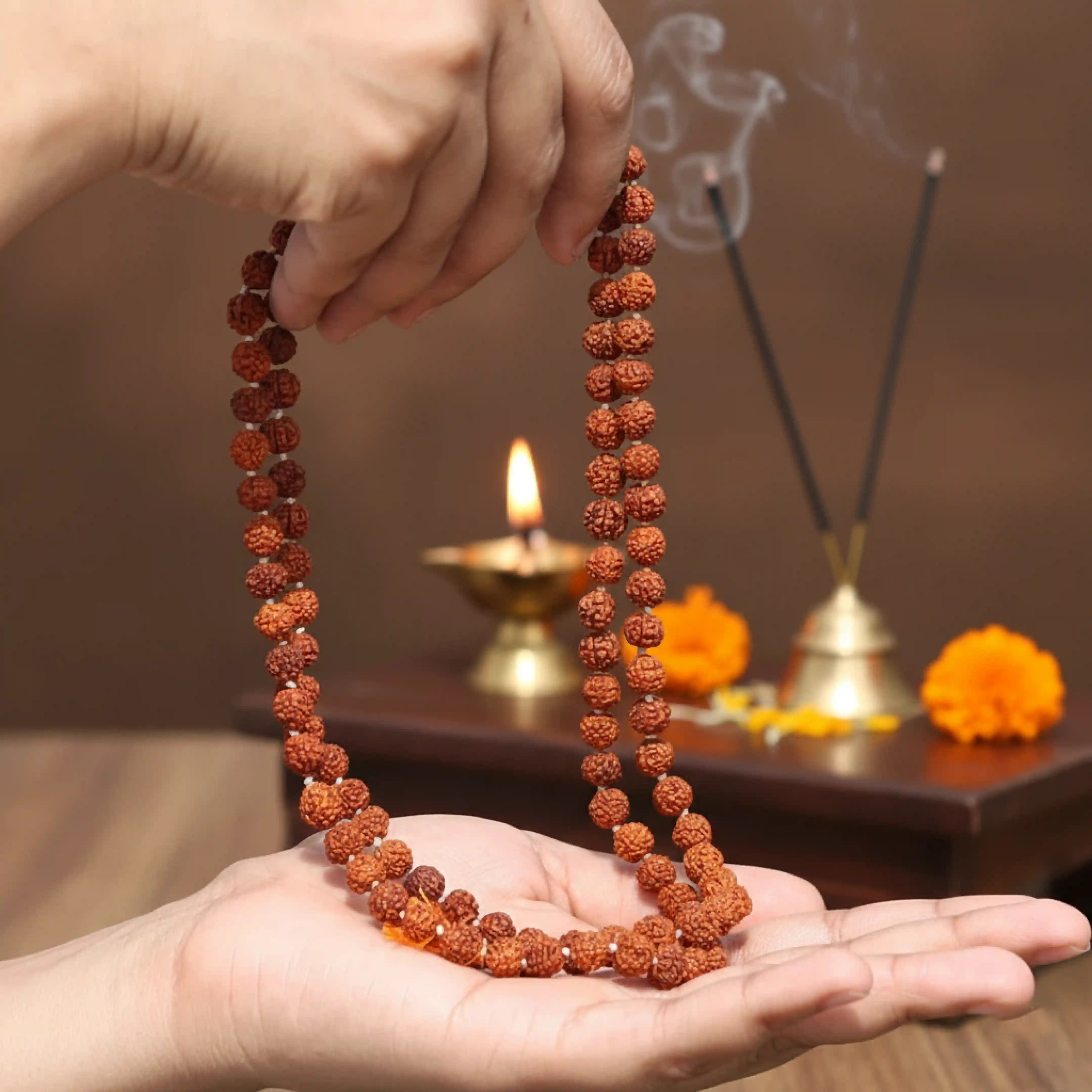 5 Mukhi Rudraksha Necklace (108 Beads) Catalog Photo