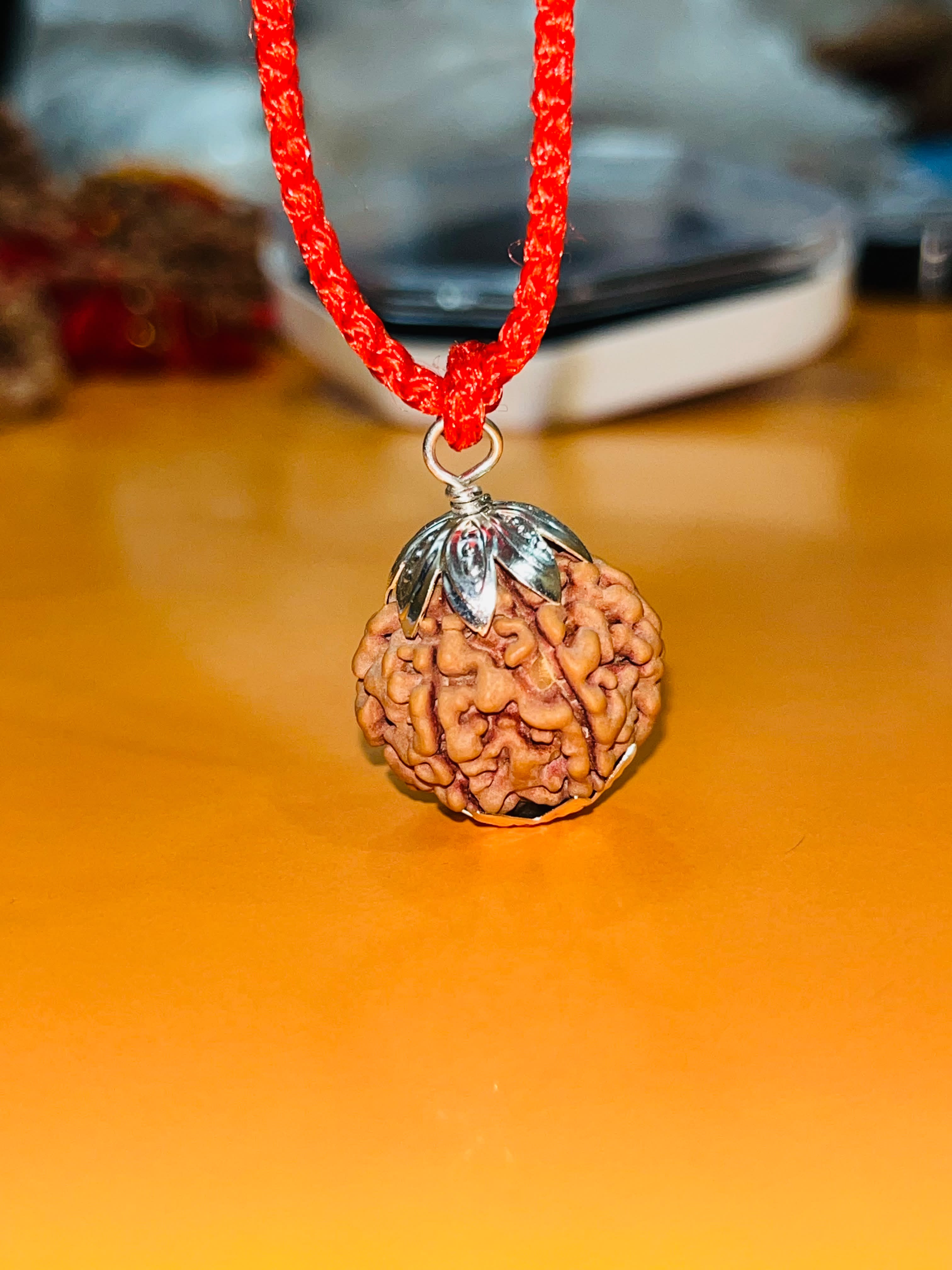 7 Mukhi Rudraksha Silver Pendant (18mm-25mm) Photo Option